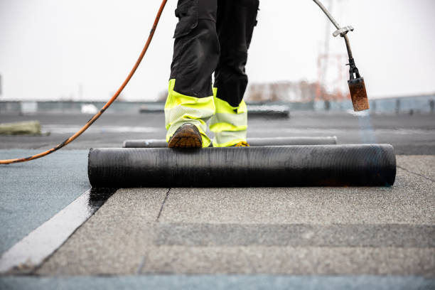 Best Solar Panel Roofing Installation  in Willow Street, PA